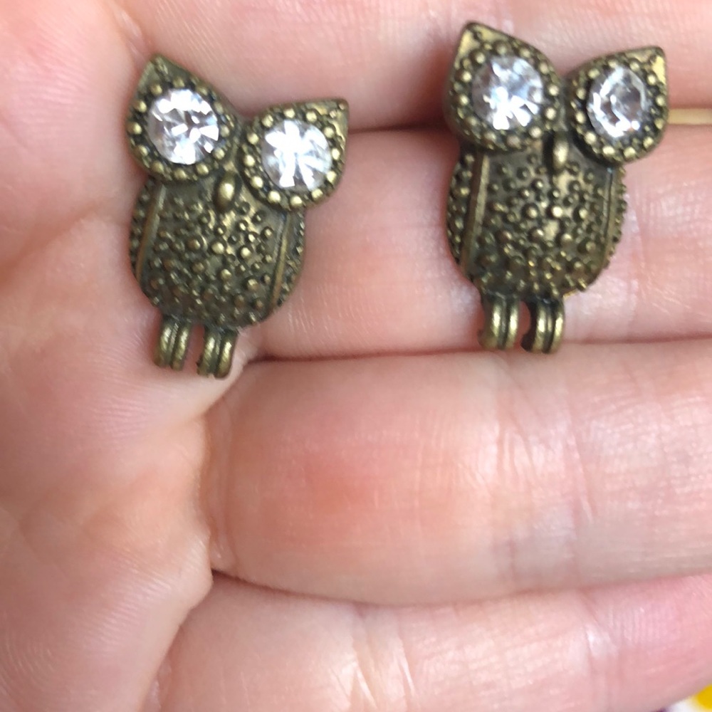 Owl stud earrings